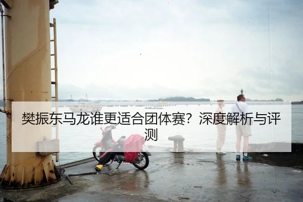 樊振东马龙谁更适合团体赛？深度解析与评测