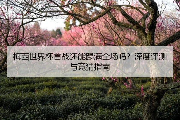 梅西世界杯首战还能踢满全场吗？深度评测与竞猜指南